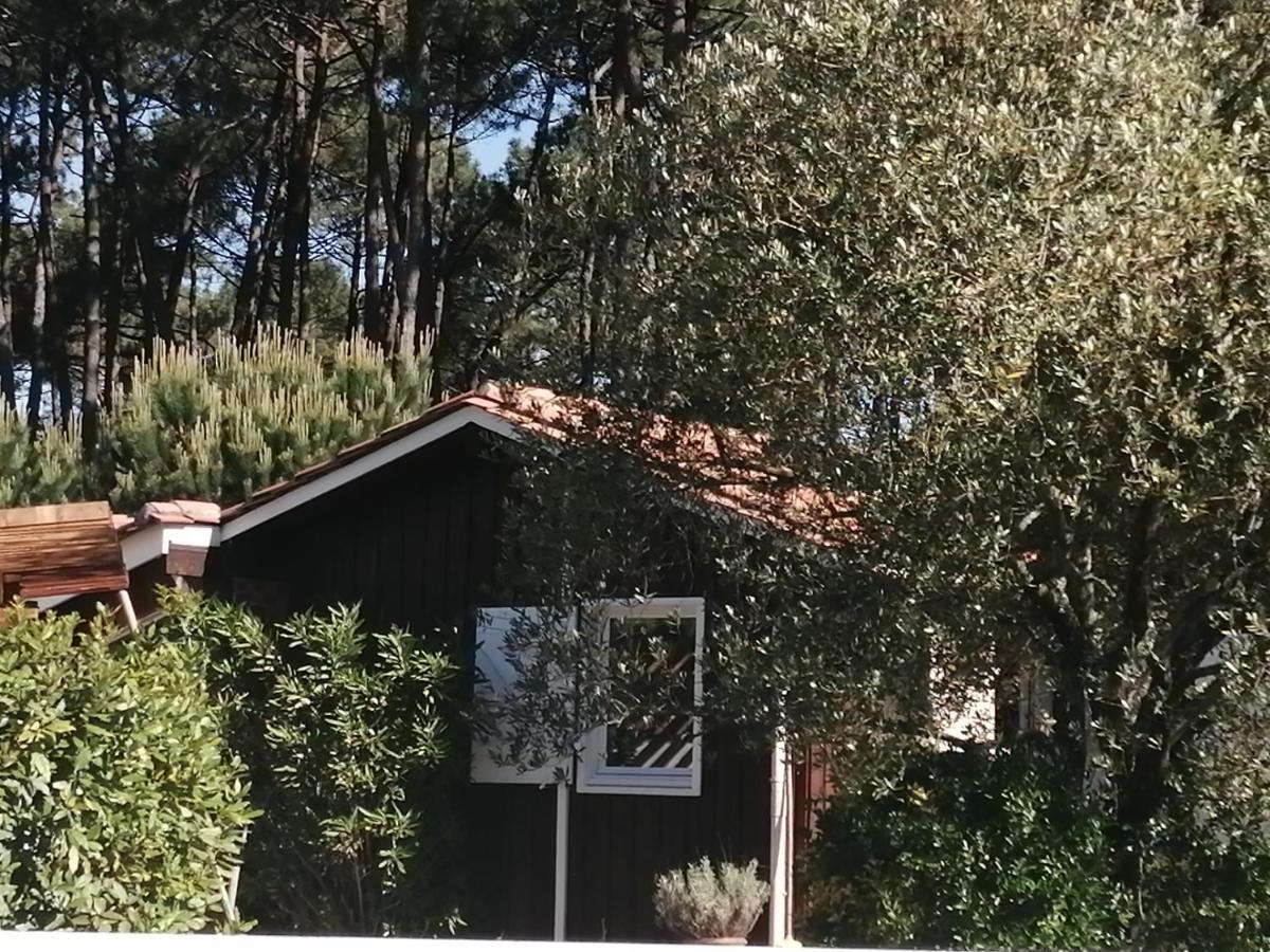 Maison Familiale En Bois Avec Piscine, Proche Du Bassin 居让梅斯特拉 外观 照片