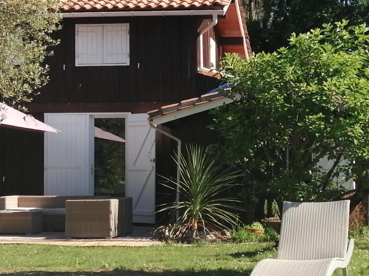 Maison Familiale En Bois Avec Piscine, Proche Du Bassin 居让梅斯特拉 外观 照片