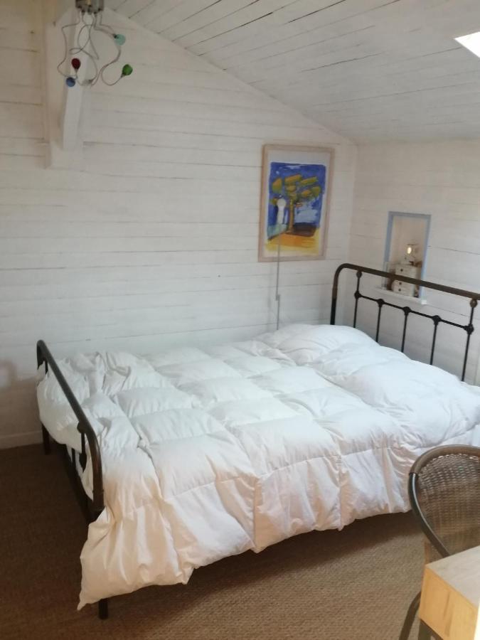 Maison Familiale En Bois Avec Piscine, Proche Du Bassin 居让梅斯特拉 外观 照片